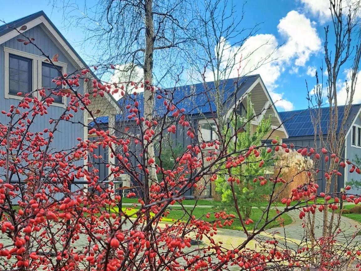 Vila 6_Banga Palanga Exteriér fotografie